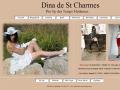 Dina de St Charme sexy Pin Up, viyny,f&eacute;tiche : 0 IN et 27 OUT
