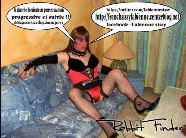 Cliquez pour agrandir