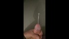 Cliquez pour agrandir