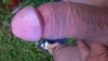 Cliquez pour agrandir