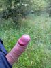 Cliquez pour agrandir