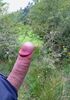 Cliquez pour agrandir