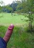 Cliquez pour agrandir