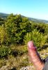 Cliquez pour agrandir