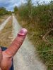 Cliquez pour agrandir