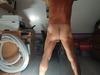 Cliquez pour agrandir