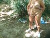 Cliquez pour agrandir
