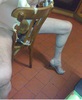 Cliquez pour agrandir