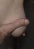 Cliquez pour agrandir