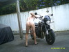 Cliquez pour agrandir