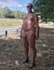 Cliquez pour agrandir