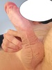 Cliquez pour agrandir