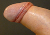 Cliquez pour agrandir