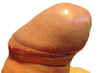 Cliquez pour agrandir