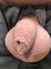 Cliquez pour agrandir