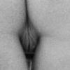 Cliquez pour agrandir