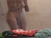 M&eacute;tisse